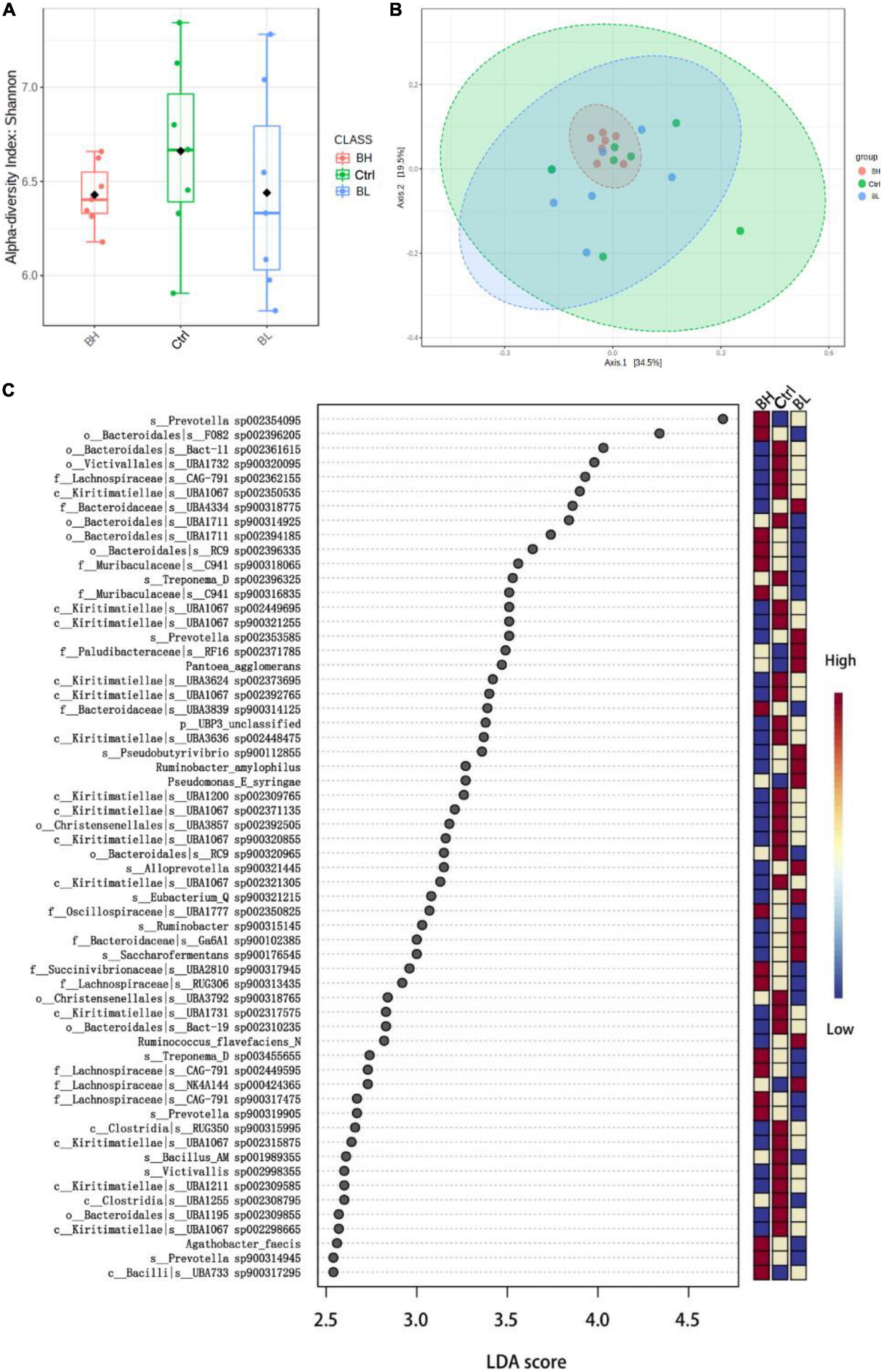 Effect of dietary biochanin A on lactation performance, antioxidant capacity, rumen fermentation and rumen microbiome of dairy goat